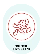 140x181 Nutrient Rich Seeds
